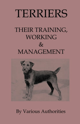 Terriers  Their Training Work  Management