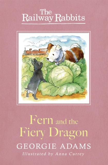 Fern and the Fiery Dragon Book 7 Railway Rabbits