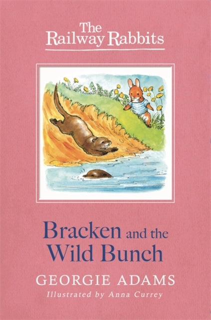 Railway Rabbits: Bracken and the Wild Bunch: Book 11