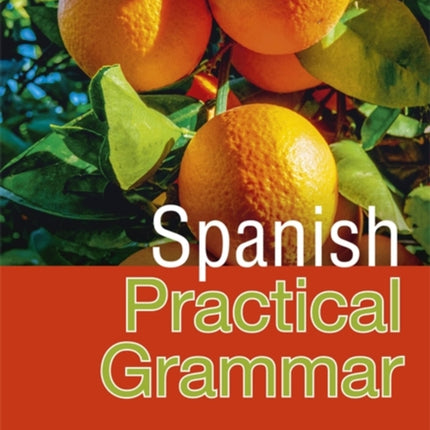 Pasos Spanish Practical Grammar