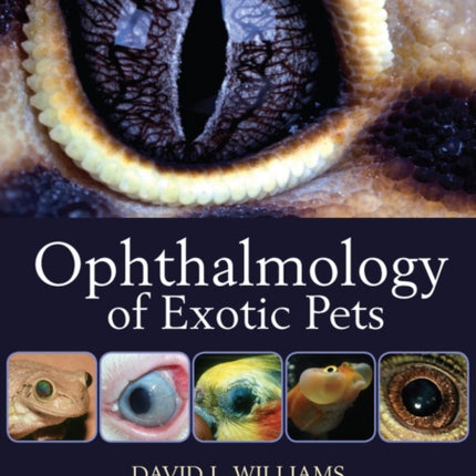 Ophthalmology of Exotic Pets