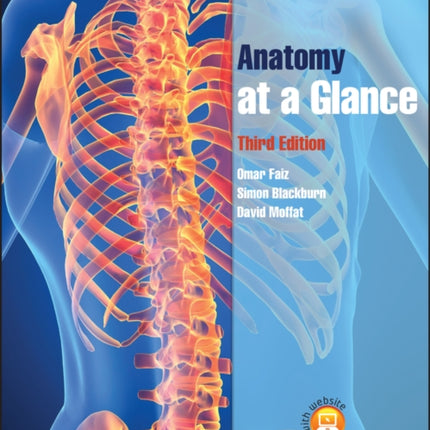 Anatomy at a Glance