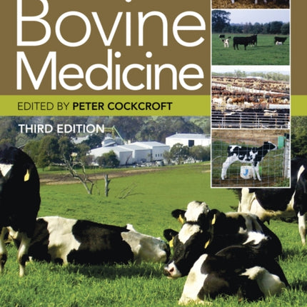 Bovine Medicine