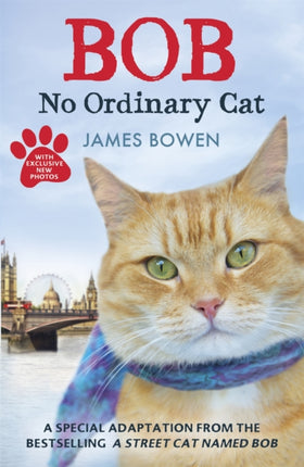 Bob: No Ordinary Cat