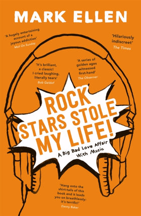 Rock Stars Stole my Life!: A Big Bad Love Affair with Music