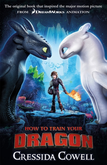 How to Train Your Dragon FILM TIE IN (3RD EDITION): Book 1