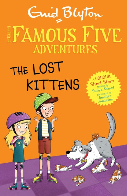 Famous Five Colour Short Stories The Lost Kittens