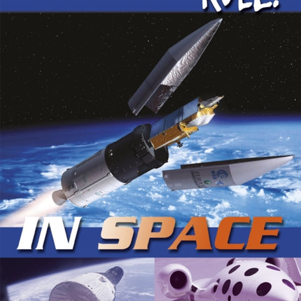 In Space by Parker Steve  AUTHOR  Jul282011 Paperback