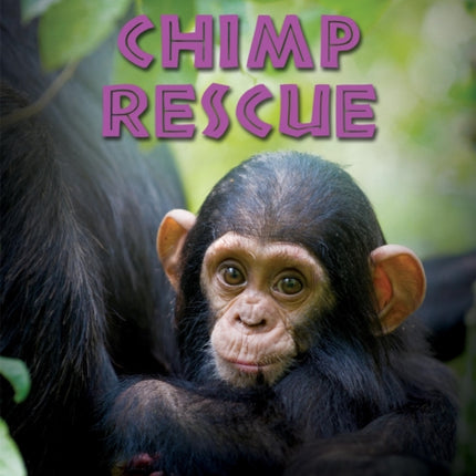 Animal Rescue Chimp Rescue