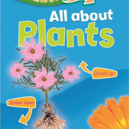 Ways Into Science: All About Plants