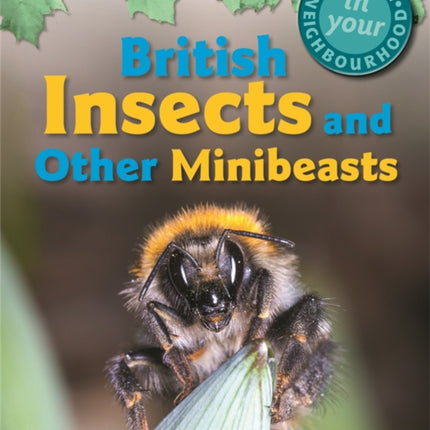 Nature in Your Neighbourhood: British Insects and other Minibeasts