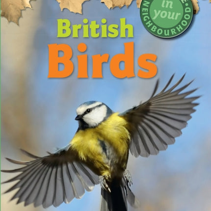 Nature in Your Neighbourhood: British Birds