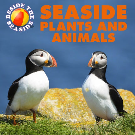 Beside the Seaside: Seaside Plants and Animals