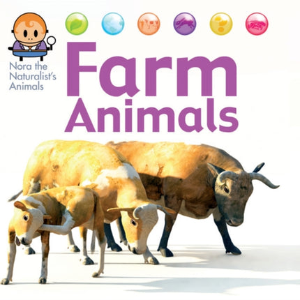 Farm Animals Nora the Naturalists Animals