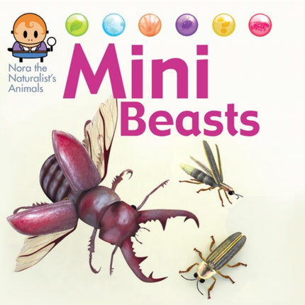 Minibeasts Nora the Naturalists Animals