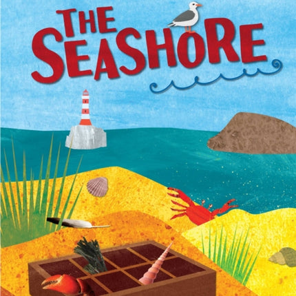 The Curiosity Box: The Seashore