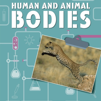 Science Skills Sorted Human and Animal Bodies