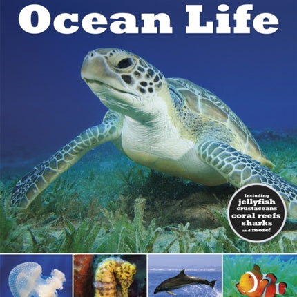 Visual Explorers Ocean Life