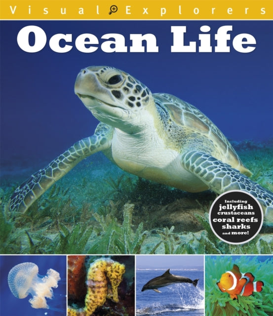 Visual Explorers Ocean Life