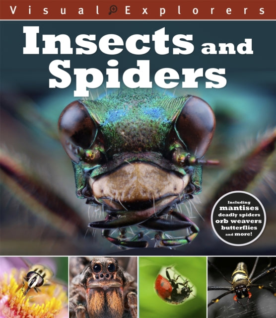 Visual Explorers Insects and Spiders