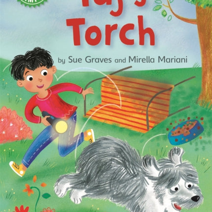 Reading Champion: Taj's Torch: Independent Reading Green 5