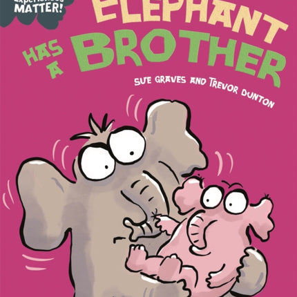 Experiences Matter Elephant Has a Brother