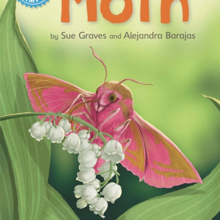 Reading Champion: Moth: Independent Reading Non-Fiction Blue 4