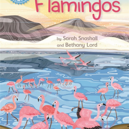 Reading Champion: Flamingos: Independent Reading Non-Fiction Blue 4