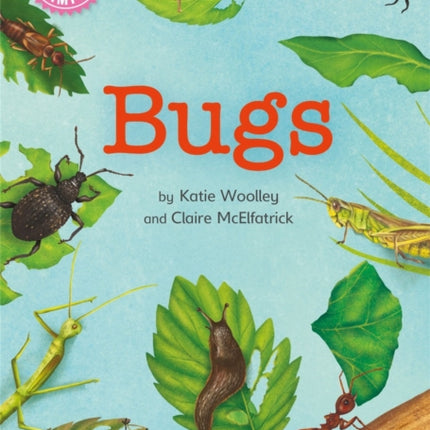 Reading Champion: Bugs: Independent Reading Non-Fiction Pink 1a