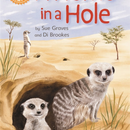 Reading Champion: A Home in a Hole: Independent Reading Orange 6 Non-fiction