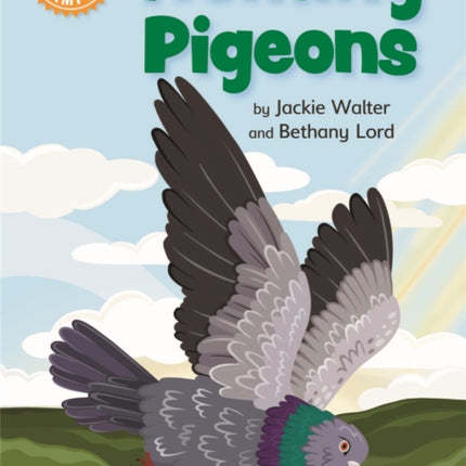 Reading Champion: Homing Pigeons: Independent Reading Orange 6 Non-fiction