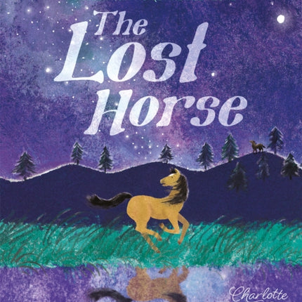 The Lost Horse: Forced from home and all alone