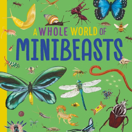 A Whole World of... Minibeasts