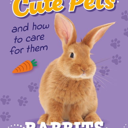 Cute Pets And How to Care For Them Rabbits