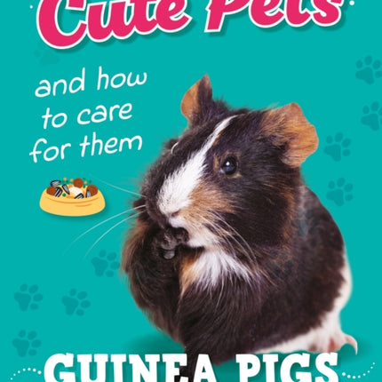 Cute Pets And How to Care For Them Guinea Pigs