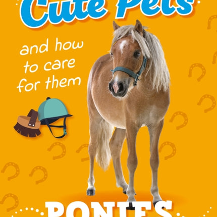 Cute Pets And How to Care For Them Ponies