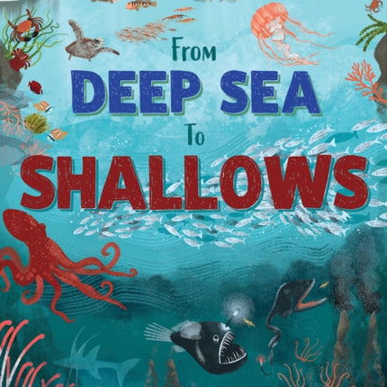 From Deep Sea to Shallows The Story of an Ocean
