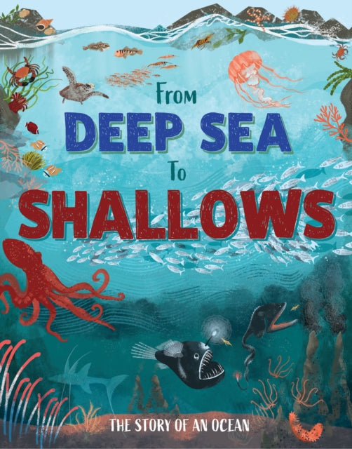 From Deep Sea to Shallows The Story of an Ocean