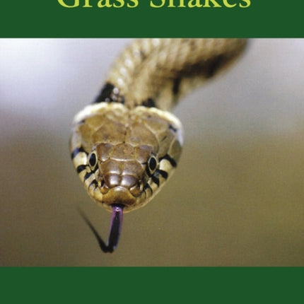 Grass Snakes