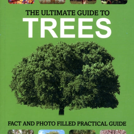 The Ultimate Guide to Trees