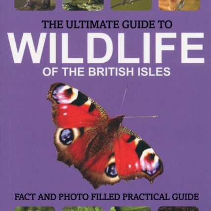 The Ultimate Guide to Wildlife of the British