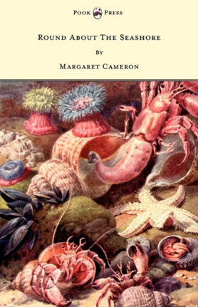 Round about the Seashore  With Eight Coloured Pictures