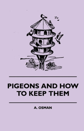 Pigeons and How to Keep Them