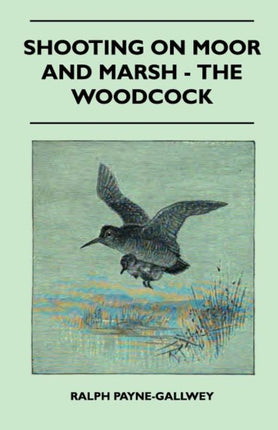 Shooting on Moor and Marsh  The Woodcock