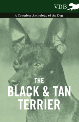 The Black and Tan Terrier  A Complete Anthology of the Dog