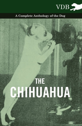 The Chihuahua  A Complete Anthology of the Dog
