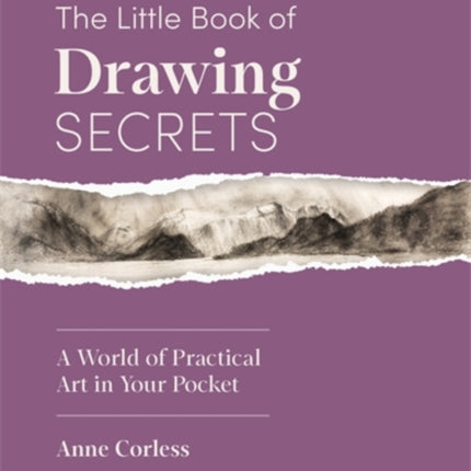 The Little Book of Drawing Secrets