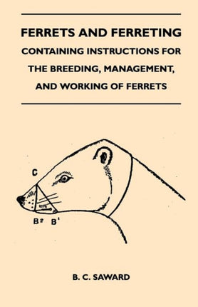 Ferrets And Ferreting  Containing Instructions For The Breeding Management And Working Of Ferrets