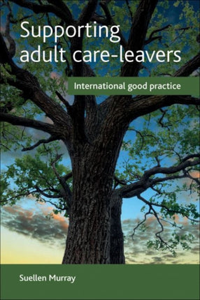 Supporting adult care-leavers: International good practice