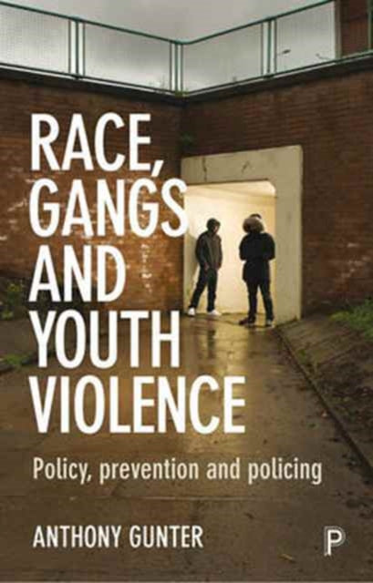 Race, Gangs and Youth Violence: Policy, Prevention and Policing